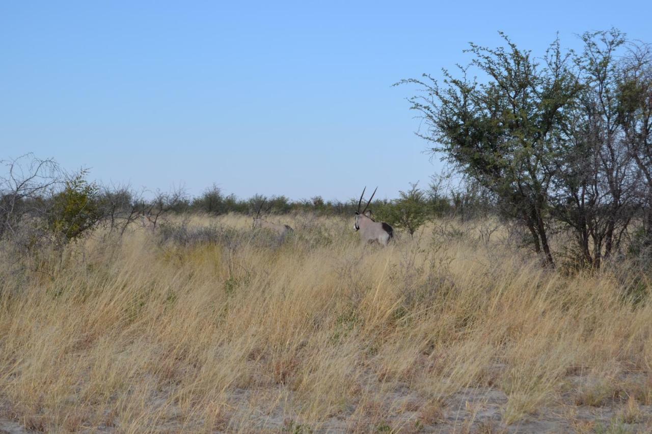 Chobe Sunset Chalets Lesoma Εξωτερικό φωτογραφία